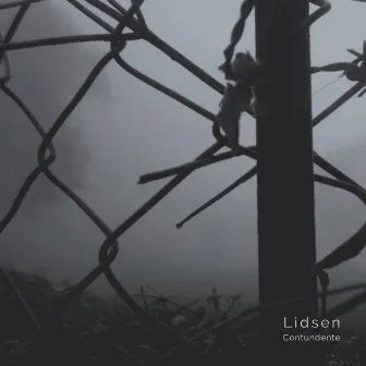 Contundente by Lidsen