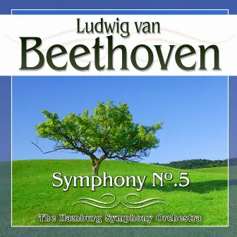 Beethoven. Symphony No.5 by Hamburg Symphony Orchestra