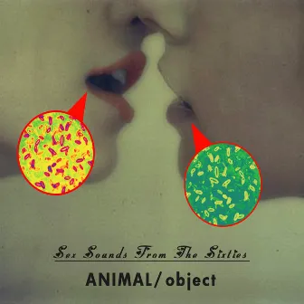 Sex Sounds from the Sixties by Animal