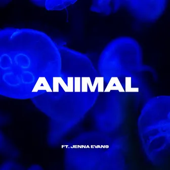 Animal by Ant Hewitson