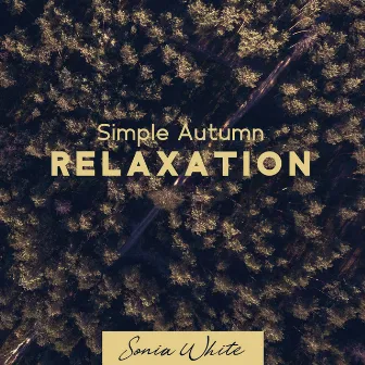 Simple Autumn Relaxation by Sonia White