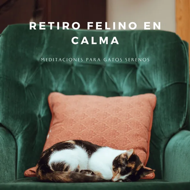 Retiro Felino En Calma: Meditaciones Para Gatos Serenos