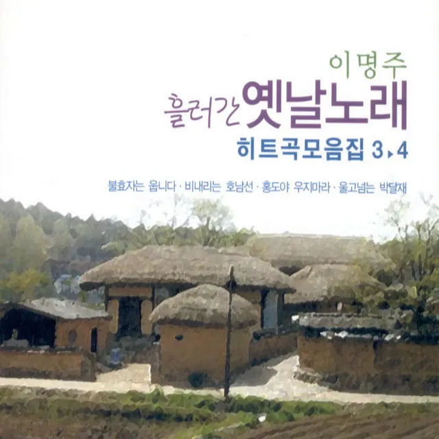 충청도 아줌마