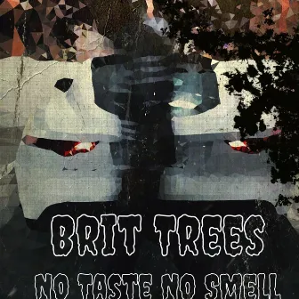 No Taste No Smell by Brit Trees