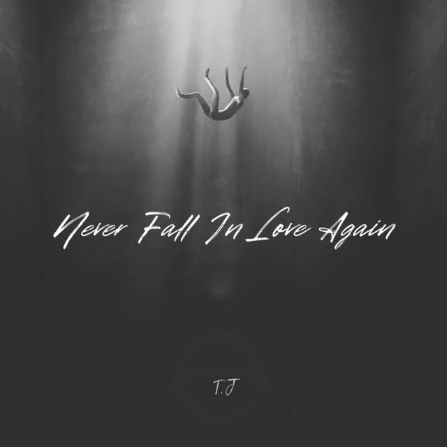 Never Fall In Love Again