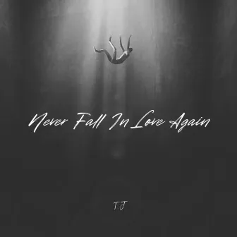 Never Fall In Love Again by T.J