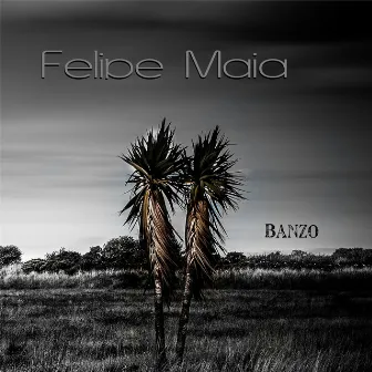 Banzo by Felipe Maia