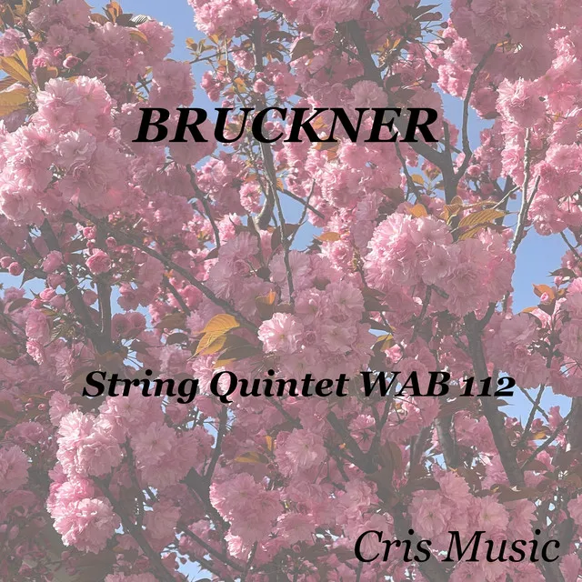 Bruckner: String Quintet WAB 112, I. Gemäßigt