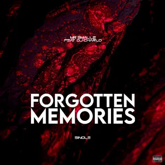 Forgotten Memories by Mr Smallz