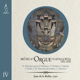 Música d'Orgue a Catalunya, Siglo XIX-XXe, Vol. 6 by Juan de la Rubia