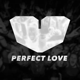 Perfect Love by Jesus Loves Electro