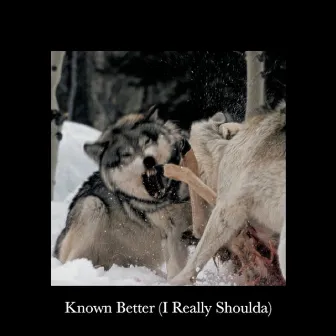 Known Better (I Really Shoulda) by Royal Haunts