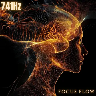 741 Hz Focus Frequency: Deep Study Music for Concentration and Productivity by Focus Music