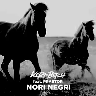 Nori Negri by Butch