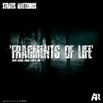 Fragments Of Life by Stratis Mantzoros