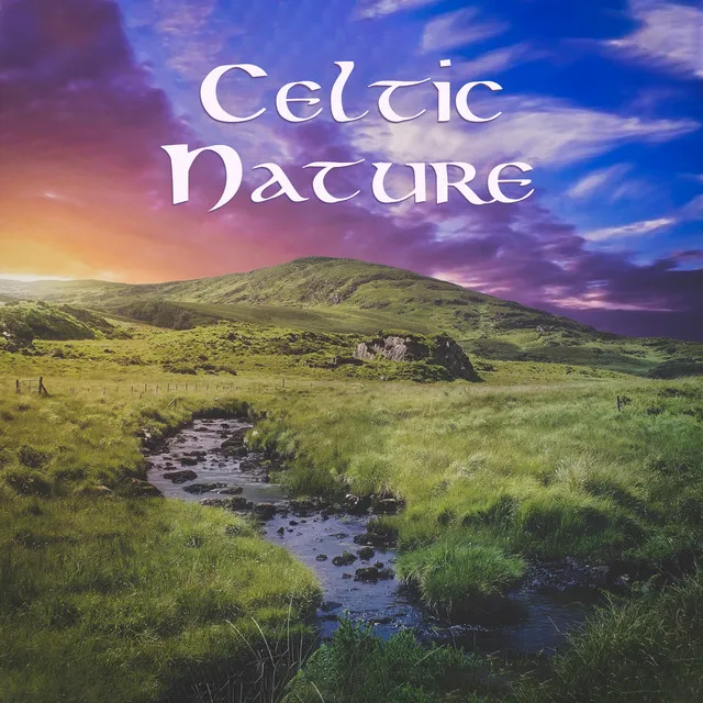 Irish Celtic Spirit of Relaxation Academy