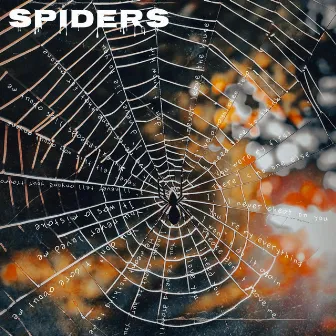 Spiders by Cobalt Jr.