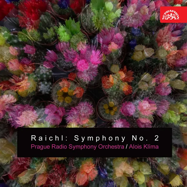 Symphony No. 2: II. Allegro