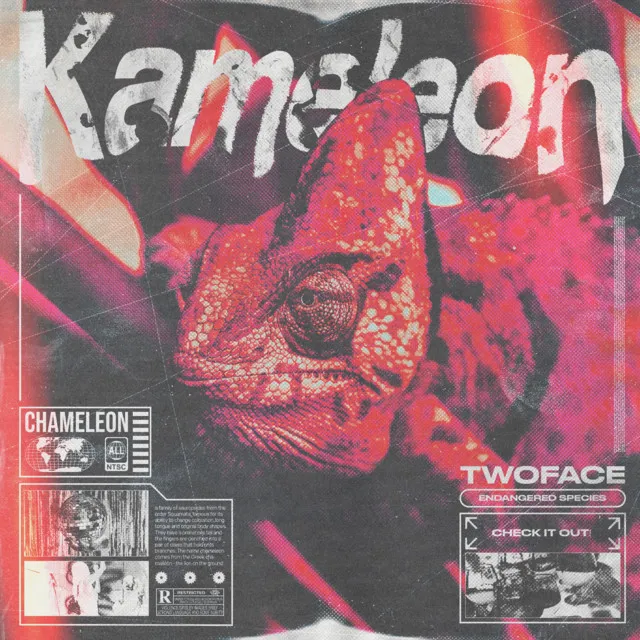 Kameleon