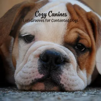 Cozy Canines: Lofi Grooves for Contented Dogs by Sounds Dogs Love