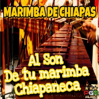 Al Son de Tu Marimba Chapaneca by Marimba De Chiapas