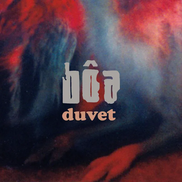 Duvet