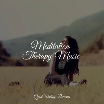 Meditation Therapy Music by Heavy Rain Sounds