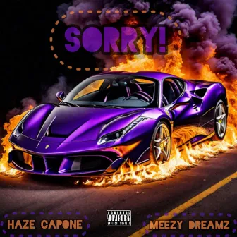 Sorry! by Meezy Dreamz