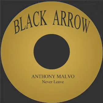 Never Leave by Anthony Malvo