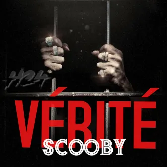 Vérité by Scooby