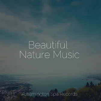 Beautiful Nature Music by Sleep Sounds Rain