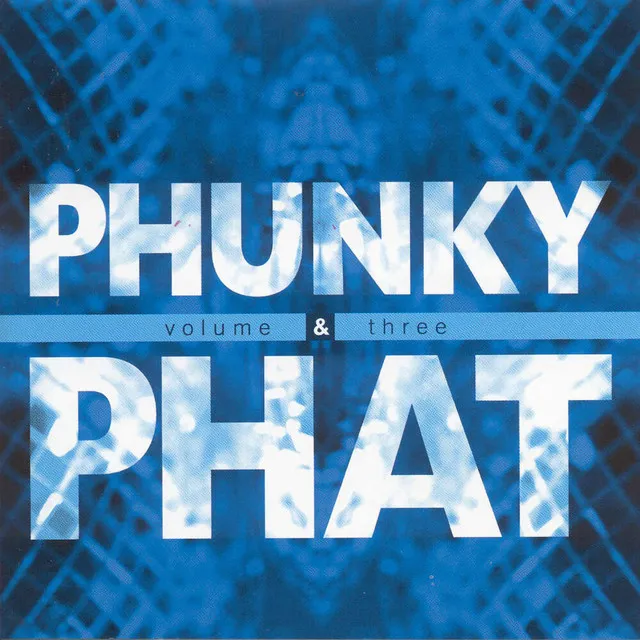 Phunky & Phat, Vol. 3