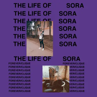 The Life Of Sora by Marvin's Universe