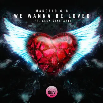 We Wanna Be Loved by CIC