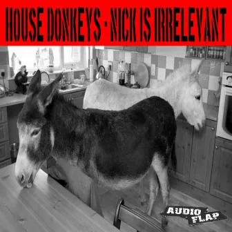 Nick Is Irrelevant by House Donkeys