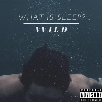 What Is Sleep? by VV I L D