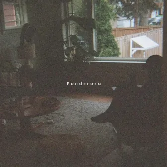 Ponderosa by Kave