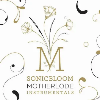 Motherlode Instrumentals by Sonicbloom