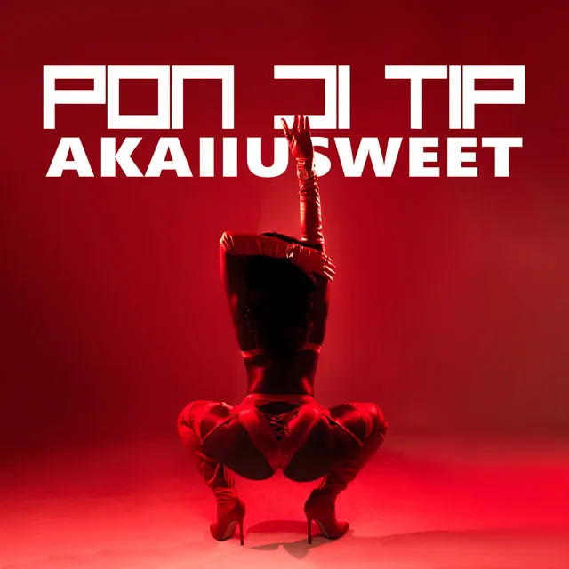 Pon Di Tip (Remix)