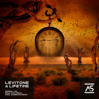 A Lifetime by Levitone