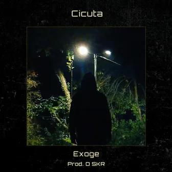 Cicuta by Exoge