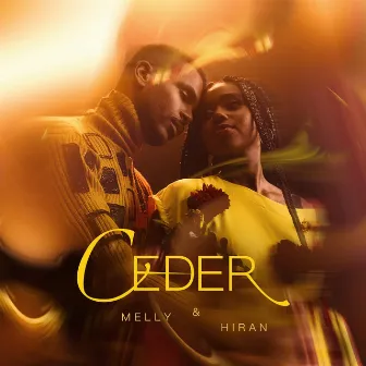 Ceder by Hiran