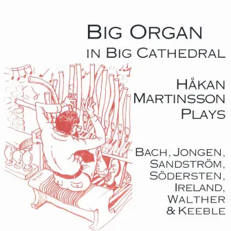 Stor orgel i Storkyrkan by Hakan Martinsson