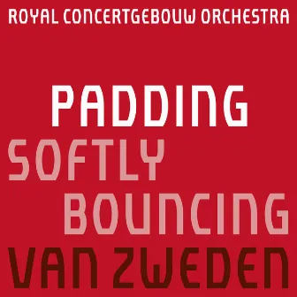 Padding: Softly Bouncing by Martijn Padding