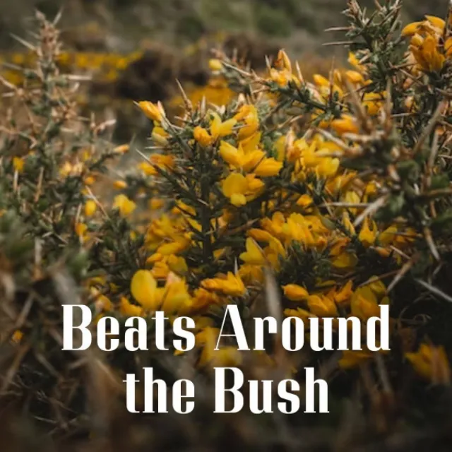 Beats Around the Bush