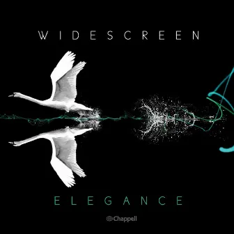 Widescreen Elegance by Julie Cooper