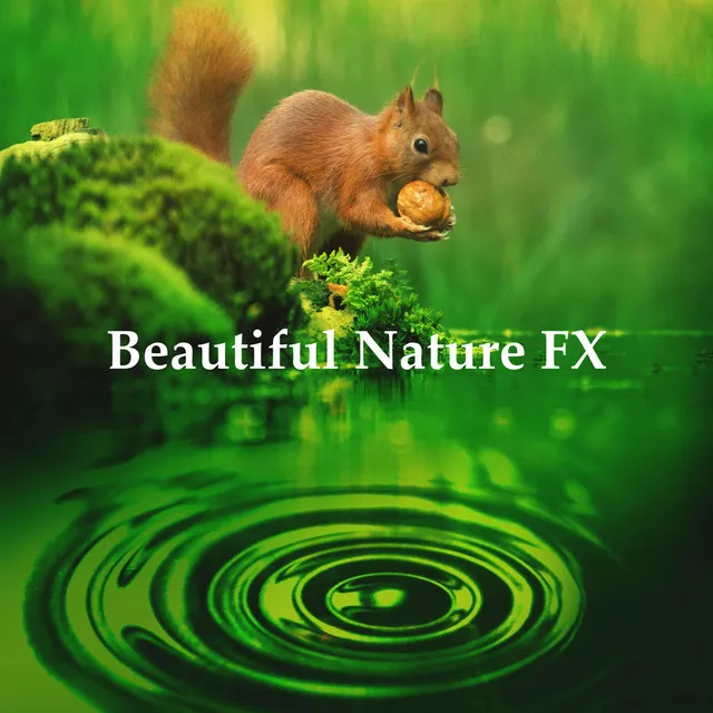 Beautiful Nature FX