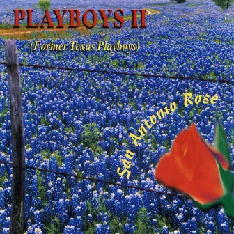 San Antonio Rose by Playboys II