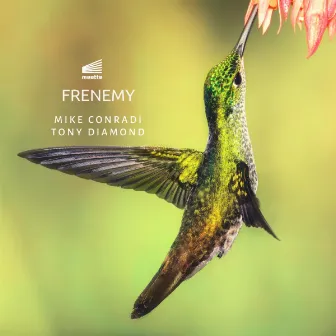 Frenemy by Mike Conradi