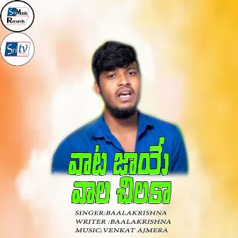 VAATA JAAYE VAALA CHILAKA by BAALAKRISHNA